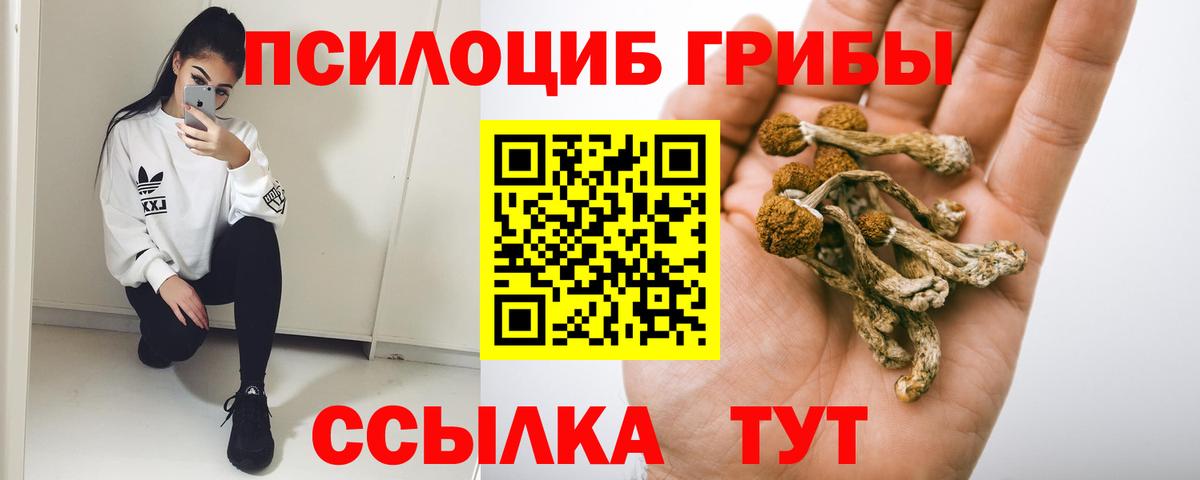 Белово  Галлюциногенные грибы MAGIC MUSHROOMS  Вход с VPN 